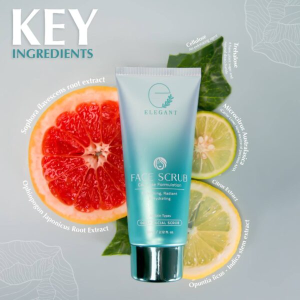 Elegant Cellulose Face Scrub (ECFS) - Image 4