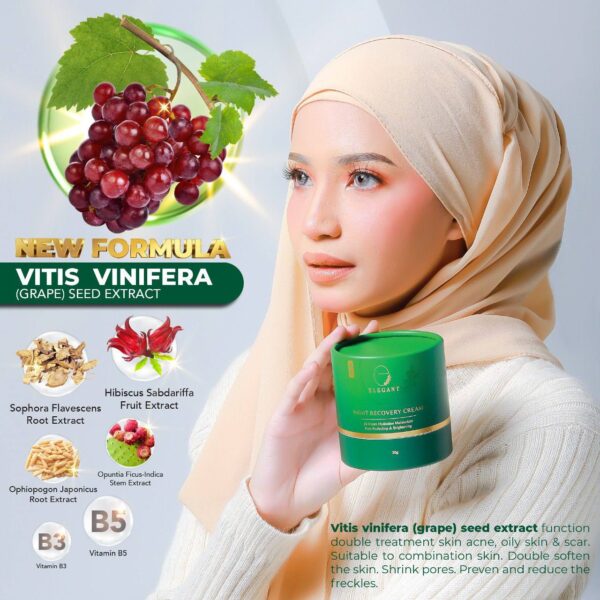 Elegant Night Recovery Cream (ENRC) - Image 2