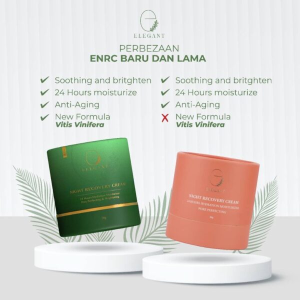 Elegant Night Recovery Cream (ENRC) - Image 4